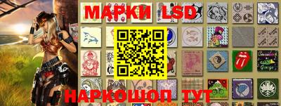 шишки Донской