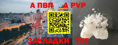 шишки Донской